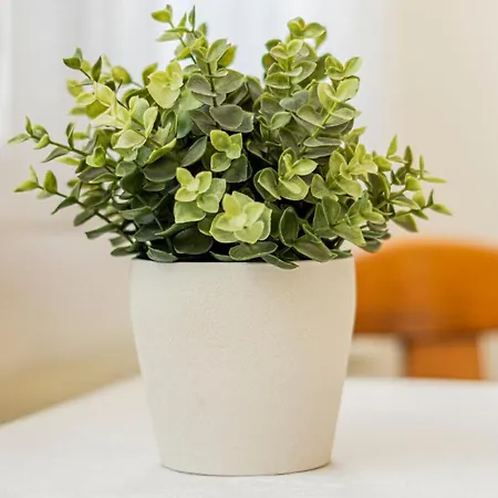 Mueden Mini-hôtel Faßberg