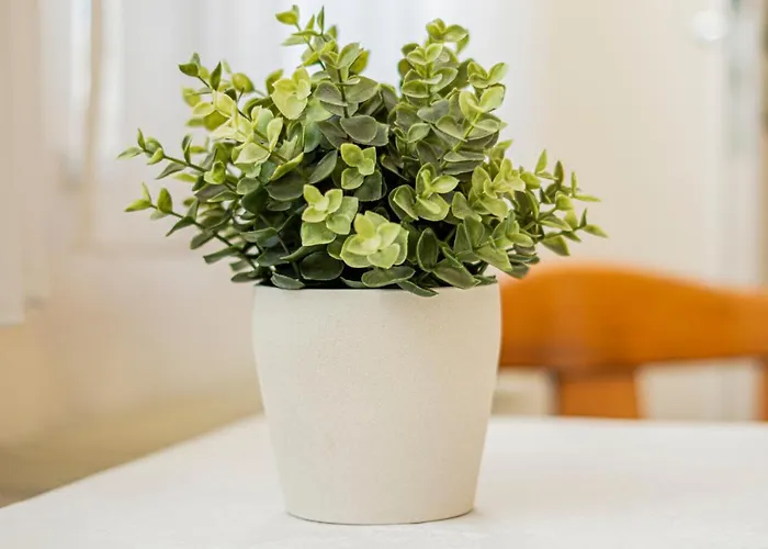 Mueden Herberg Faßberg